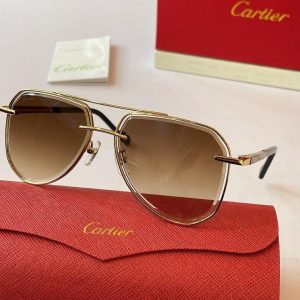 xubag.ru-cartier-sunglasses-luxury-cartier-sport-fashion-show-sunglasses-33-22f3b2d1-e96a-4483-81c7-0b081bf4d71d